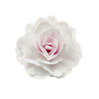 Róża waflowa chińska maxi różowa - 12,5 cm