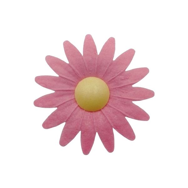 Wafer daisy pink