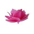 Chinese wafer rose maxi fuchsia