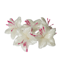 Sugar flower white-pink 5 pcs