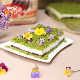 Gluten-free moss slices with yogurt filling