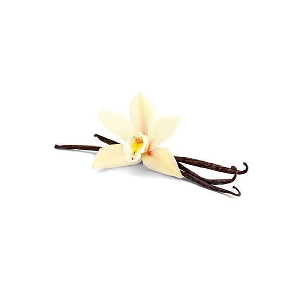 Aroma Vanilka 40% 100ml