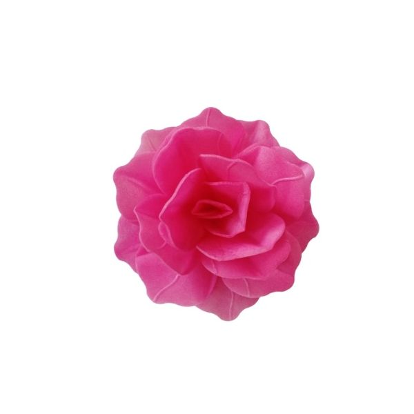 Chinese wafer rose maxi fuchsia
