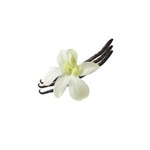 Vanilla flavoring paste 200g